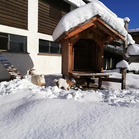 Zweimaederlhaus Bad Mitterndorf Exterior foto