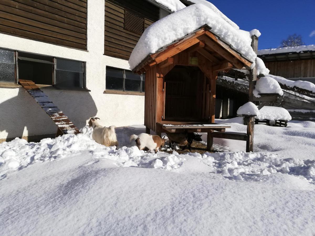 Zweimaederlhaus Bad Mitterndorf Exterior foto